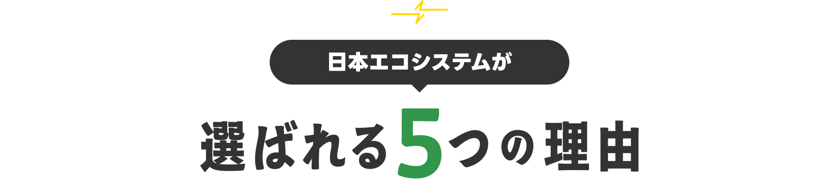 日本エコシステムが選ばれる５つの理由